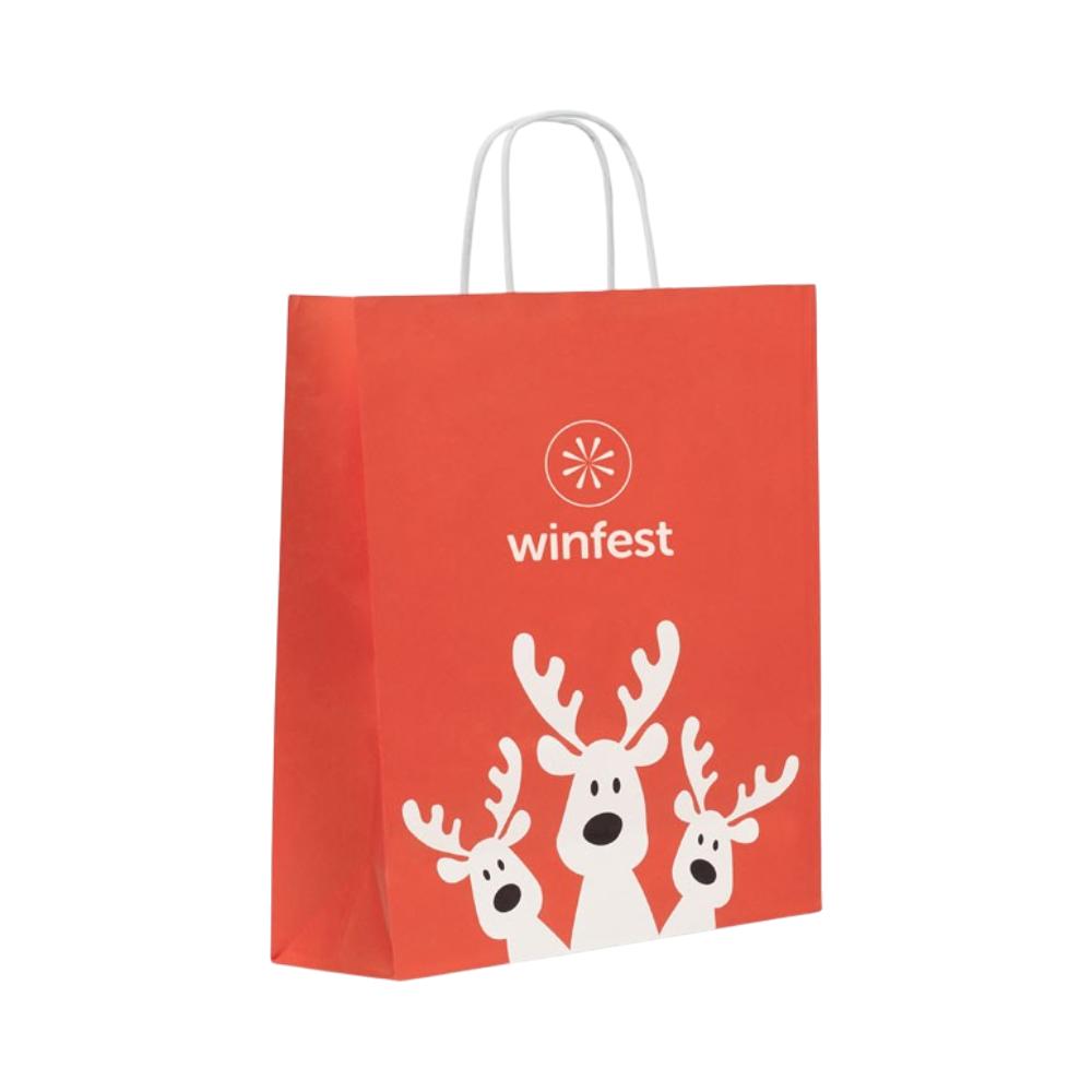 BAO Large Recycled Paper Gift Bag
