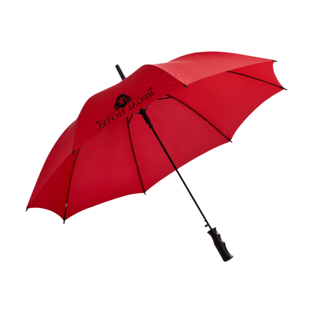 Barry Auto Open Umbrella