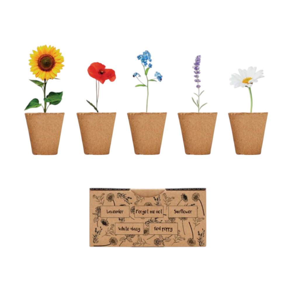 Flowers Growing Kit