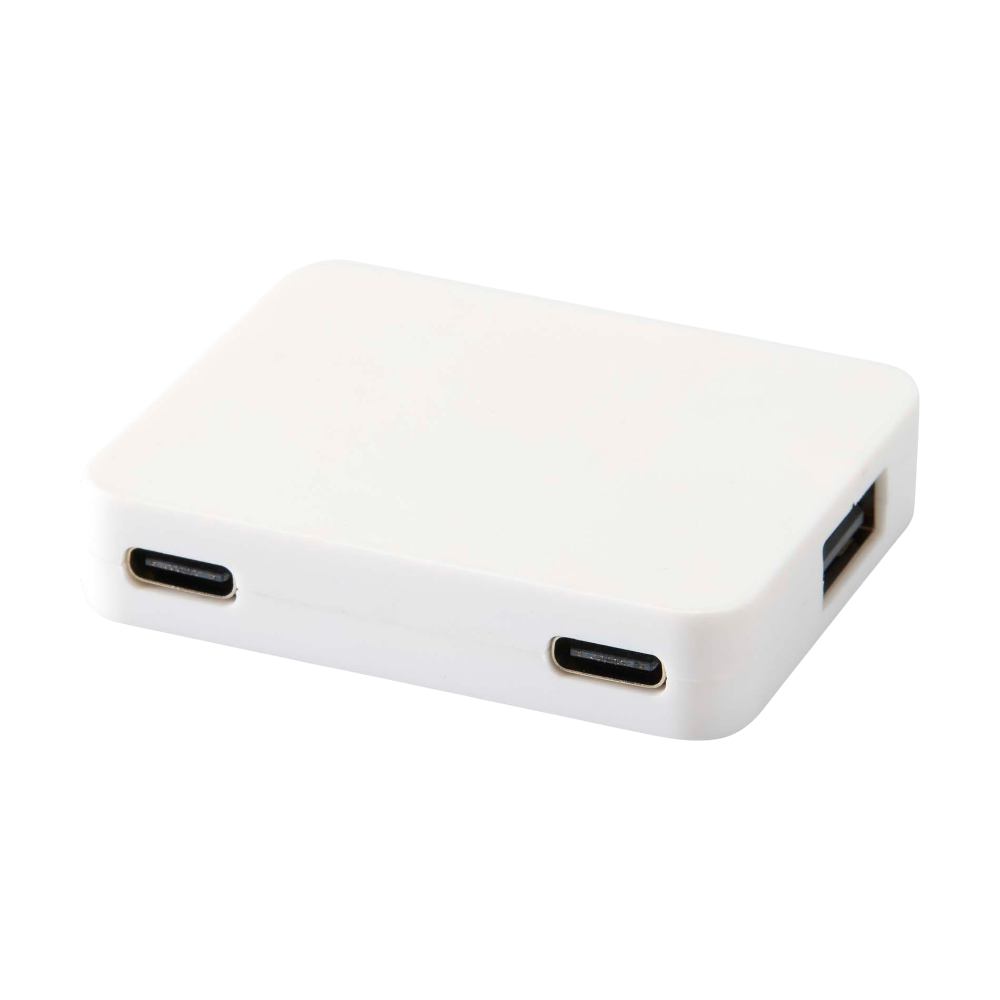 Gaia 4-Port USB Hub