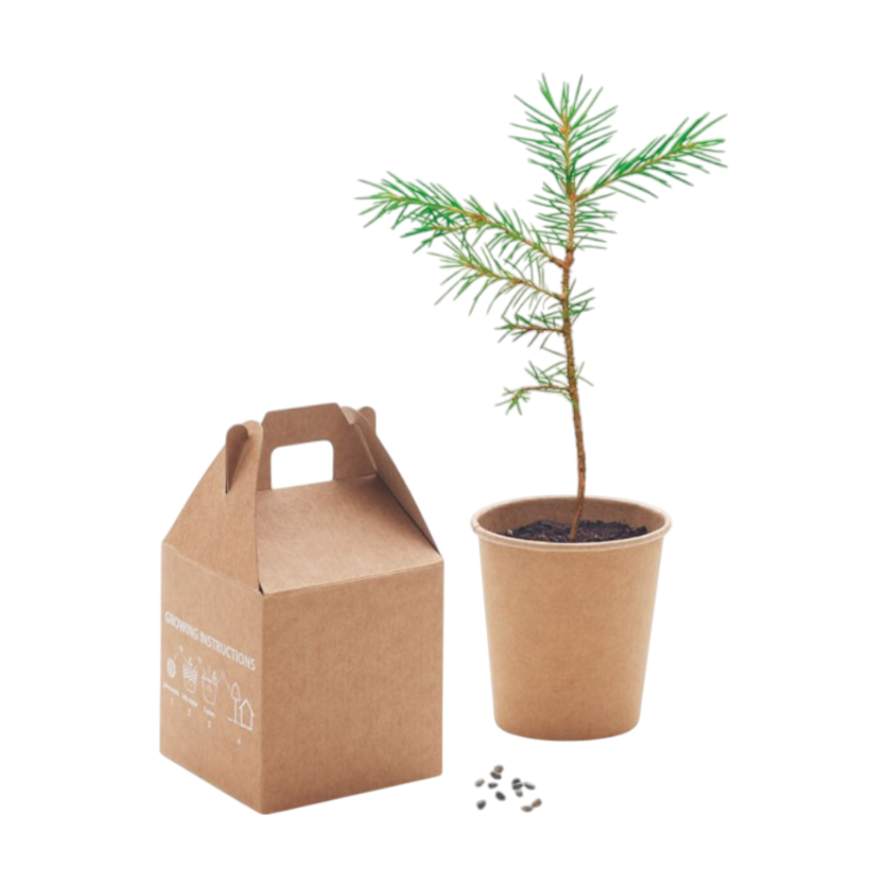 GROWTREE™ Pine Tree Set