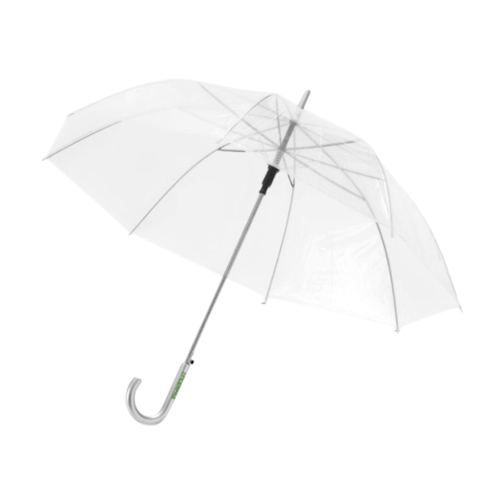 Kate Transparent Auto Open Umbrella