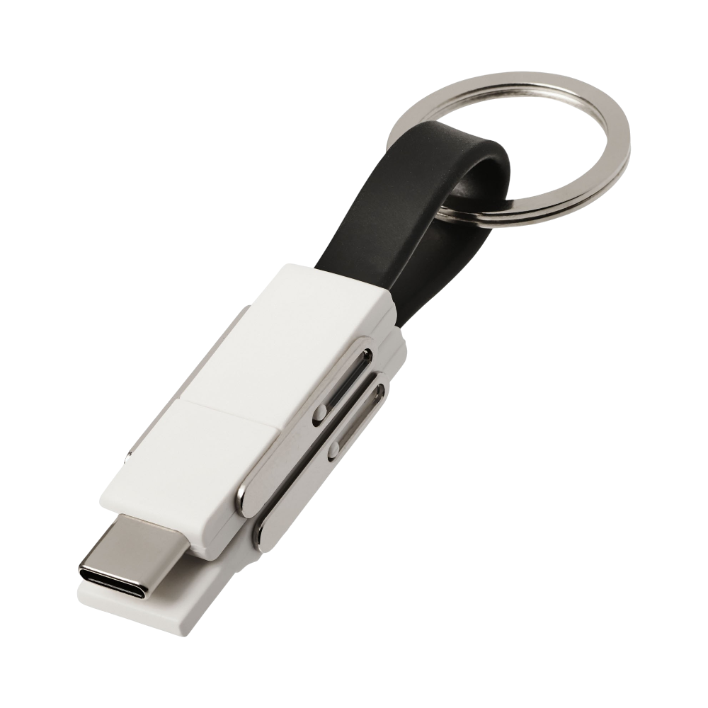 One 4-in-1 Cable