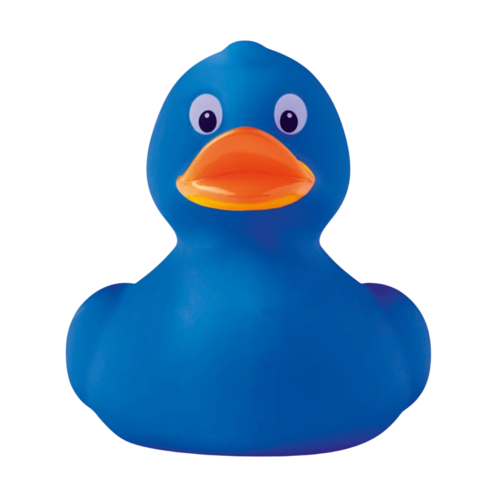 PVC Duck