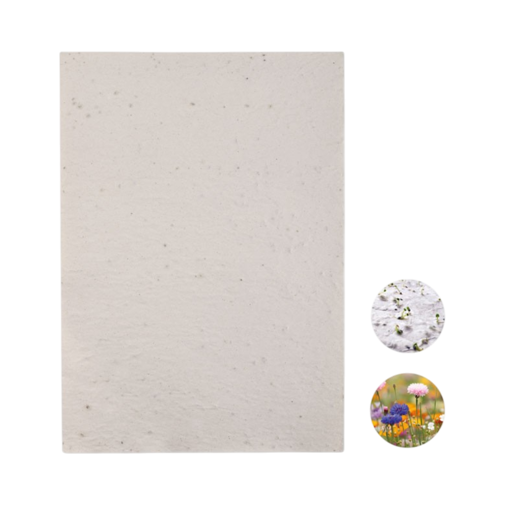 Wildflower Recycled Seed Paper